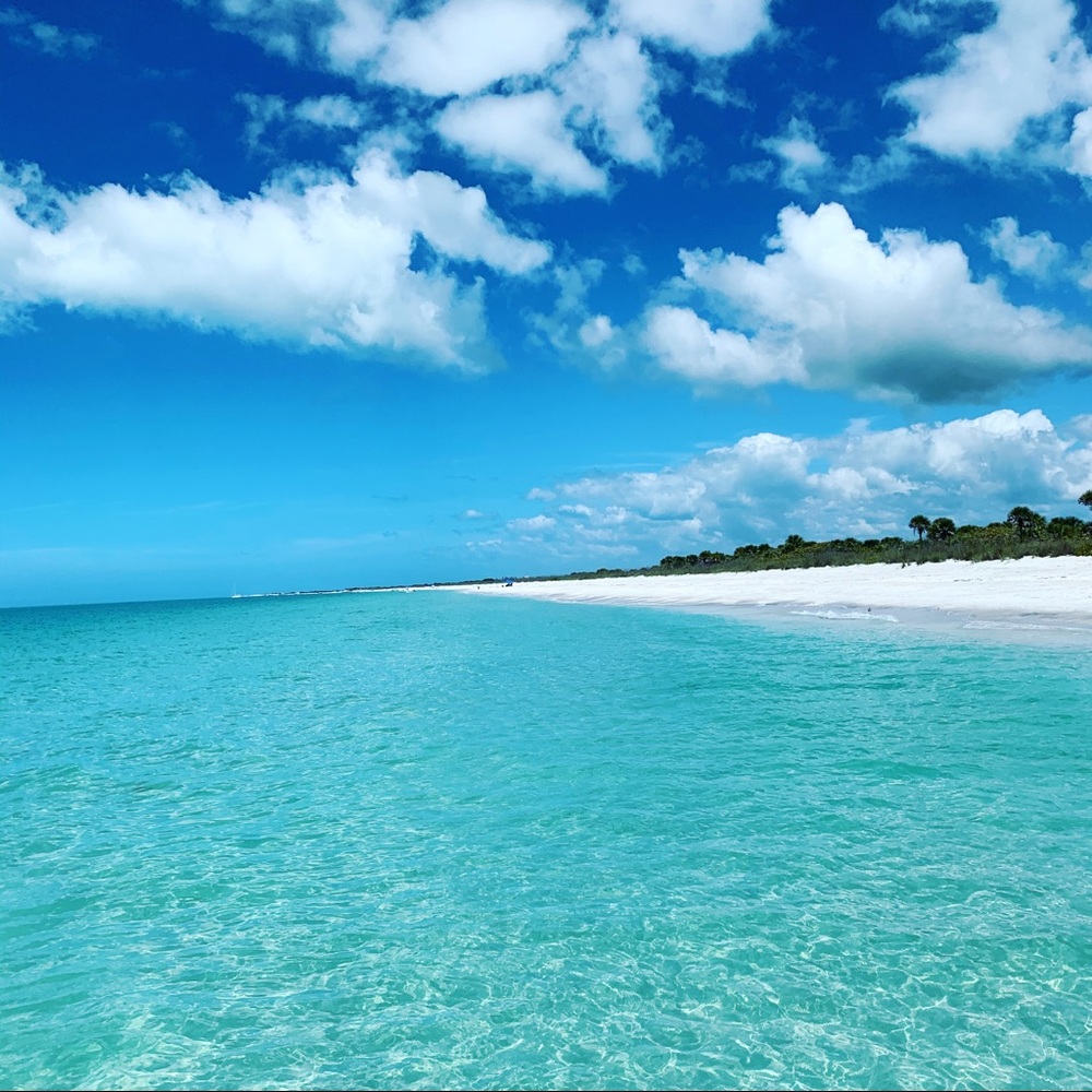 •Ｍeet Ｍe• - Picture 3 of 4